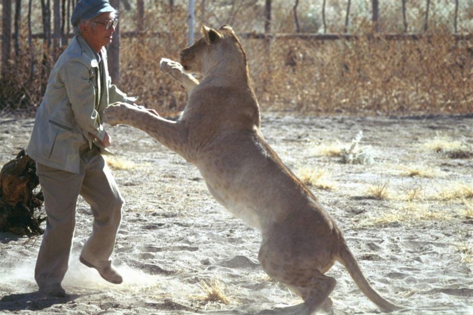 ムツゴロウとゆかいな仲間たち 動物王国大全集 Vol.2とVo.3 ムツゴロウとゆかいな仲間たち: 畑正憲珠玉の写真集 (2) | 畑