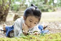 地面に這いつくばってバイカオウレンの花を眺める万太郎（森優理斗）