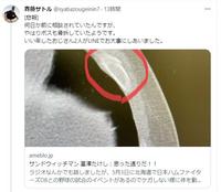 斉藤サトルのツイッター@syabazougeinin7より