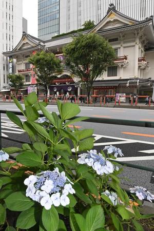 　六月大歌舞伎の初日を迎えた歌舞伎座（撮影・西岡正）