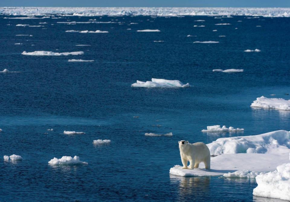 北極の氷 海水面が上がらない – 北極の氷どうやって溶ける – CXKFQ