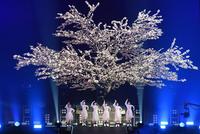 　大きな桜の木の下で歌うＢｉＳＨの（左から）モモコグミカンパニー、リンリン、アイナ・ジ・エンド、セントチヒロ・チッチ、アユニ・Ｄ、ハシヤスメ・アツコ（撮影・三好信也）