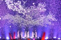 　花びらが散る中、解散ライブを行ったＢｉＳＨ（撮影・三好信也）