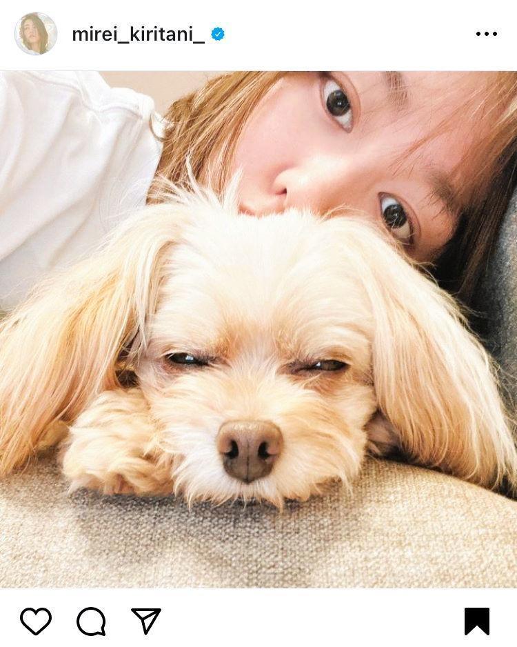 　桐谷美玲のインスタグラム＠ｍｉｒｅｉ＿ｋｉｒｉｔａｎｉ＿から