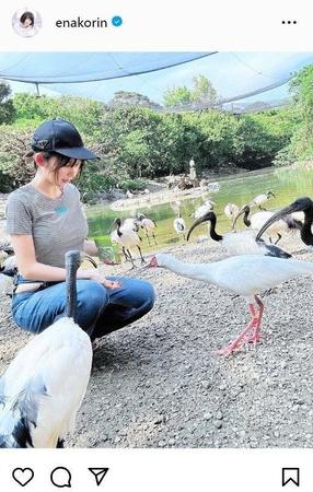 　えなこのインスタグラム＠ｅｎａｋｏｒｉｎから