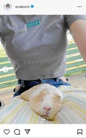　えなこのインスタグラム＠ｅｎａｋｏｒｉｎから