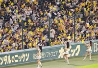 福笹を振って応援する阪神ファン＝甲子園（撮影・立川洋一郎）
