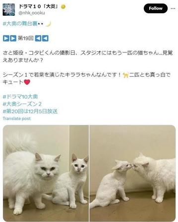 　ＮＨＫ「大奥」Ｘ（ツイッター）＠ｎｈｋ＿ｏｏｏｋｕ