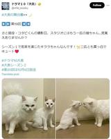 　ＮＨＫ「大奥」Ｘ（ツイッター）＠ｎｈｋ＿ｏｏｏｋｕ