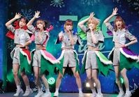 　５人時代の豆柴の大群（左から）アイカ・ザ・スパイ、ミユキエンジェル、ナオ・オブ・ナオ、ハナエモンスター、カエデフェニックス＝２０２１年１１月２０日撮影