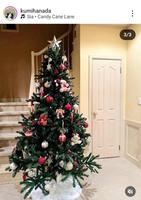 　花田虎上の妻・倉美さんのインスタグラム＠ｋｕｍｉｈａｎａｄａより