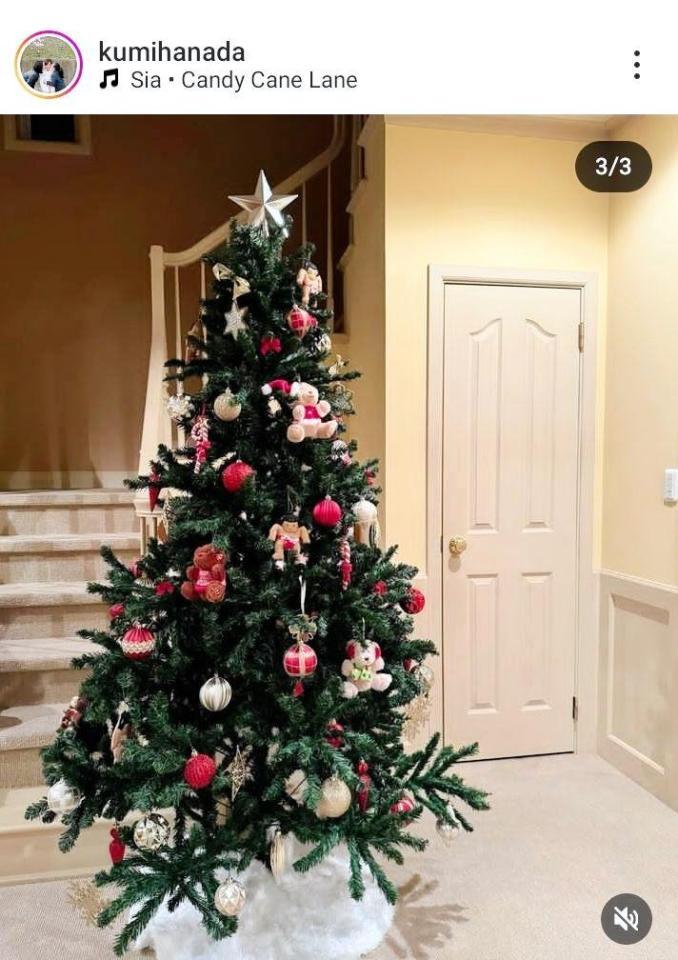 　花田虎上の妻・倉美さんのインスタグラム＠ｋｕｍｉｈａｎａｄａより