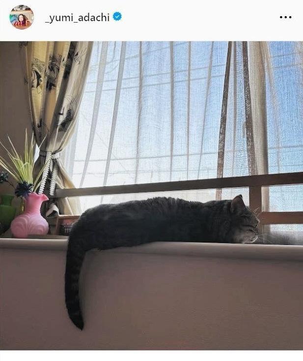 　安達祐実のインスタグラム＠＿ｙｕｍｉ＿ａｄａｃｈｉから