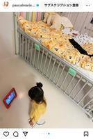 　マリエのインスタグラム＠ｐａｓｃａｌｍａｒｉｅｄｅｓｍａｒａｉｓ＿ｐｍｄより