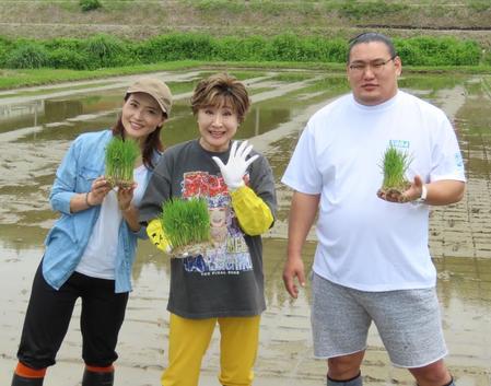 　田植えを行った（左から）金子恵美氏、小林幸子、豊昇龍