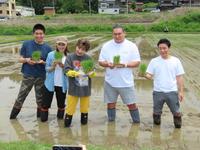 　田植えを行った（左から）宮崎謙介氏、金子恵美氏、小林幸子、豊昇龍、蛯名健一