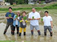 　田植えを行った（左から）宮崎謙介氏、金子恵美氏、小林幸子、豊昇龍、蛯名健一