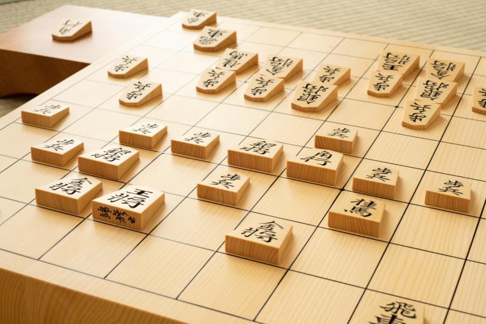 　群馬大医学部生がプロ棋士に※写真はイメージです（tsuia／stock.adobe.com）