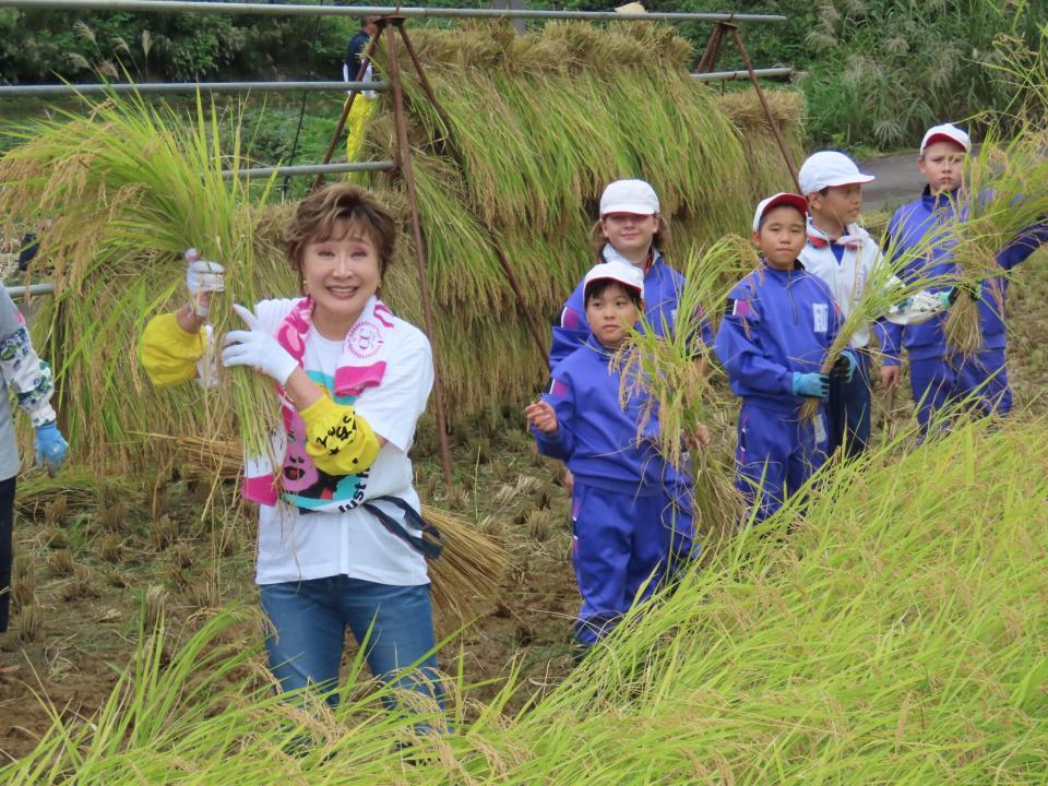 　稲刈りに精を出す小林幸子（左端）