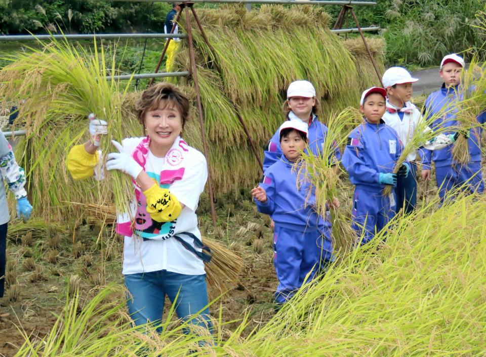 　稲刈りに精を出す小林幸子（左端）