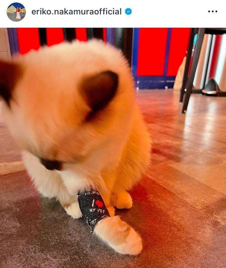 　１２月３日付の中村江里子のインスタグラム＠ｅｒｉｋｏ．ｎａｋａｍｕｒａｏｆｆｉｃｉａｌより