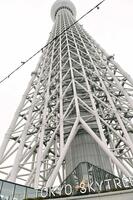 　「マツケンサンバ２」を披露する松平健（撮影・開出牧）