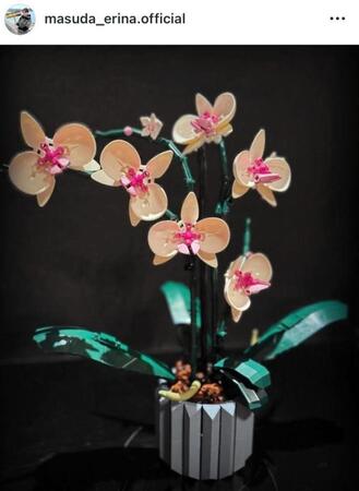 枡田絵理奈のインスタグラム＠ｍａｓｕｄａ＿ｅｒｉｎａ．ｏｆｆｉｃｉａｌより