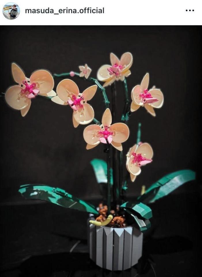 枡田絵理奈のインスタグラム＠ｍａｓｕｄａ＿ｅｒｉｎａ．ｏｆｆｉｃｉａｌより