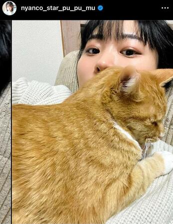 アンゴラ村長のインスタグラム＠ｎｙａｎｃｏ＿ｓｔａｒ＿ｐｕ＿ｐｕ＿ｍｕから