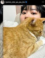 アンゴラ村長のインスタグラム＠ｎｙａｎｃｏ＿ｓｔａｒ＿ｐｕ＿ｐｕ＿ｍｕから