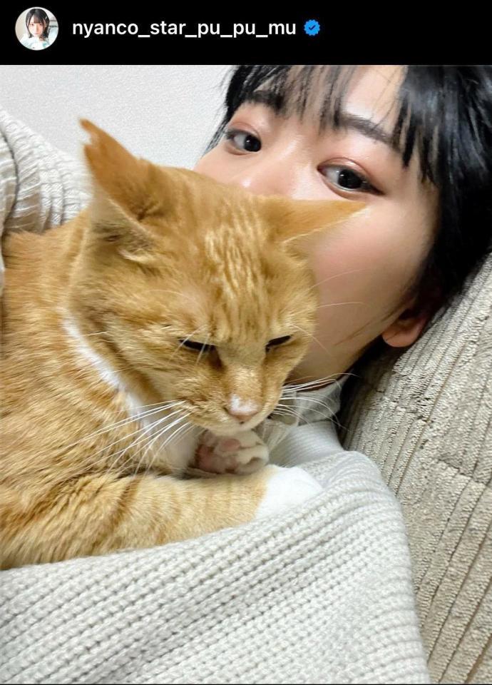 　アンゴラ村長のインスタグラム＠ｎｙａｎｃｏ＿ｓｔａｒ＿ｐｕ＿ｐｕ＿ｍｕから