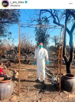 　水原希子のインスタグラム＠ｉ＿ａｍ＿ｋｉｋｏより