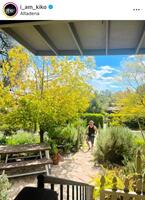 　水原希子のインスタグラム＠ｉ＿ａｍ＿ｋｉｋｏより