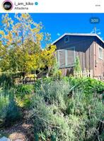 　水原希子のインスタグラム＠ｉ＿ａｍ＿ｋｉｋｏより