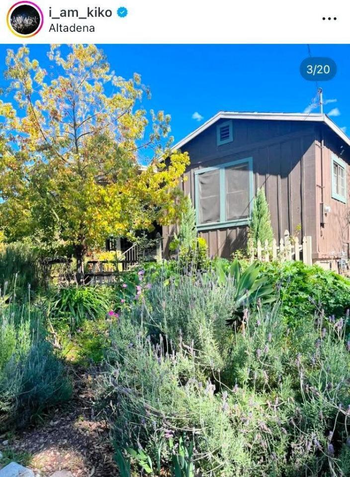 　水原希子のインスタグラム＠ｉ＿ａｍ＿ｋｉｋｏより