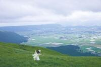 　「明日へのことば」中条あやみ／幻冬舎（撮影・尾身沙紀）