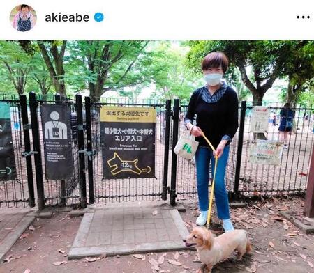 ロンのドッグ欄デビューを報告した２２年６月の安倍昭恵さんのインスタグラム＠ａｋｉｅａｂｅより