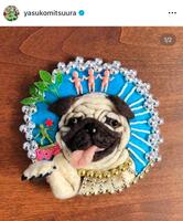 光浦靖子のインスタグラム＠ｙａｓｕｋｏｍｉｔｓｕｕｒａより