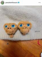 　ＥＴ。光浦靖子のインスタグラム＠ｙａｓｕｋｏｍｉｔｓｕｕｒａ（２４年１２月）より 