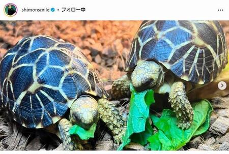 大倉士門のインスタグラム＠ｓｈｉｍｏｎｓｍｉｌｅから