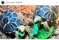 大倉士門のインスタグラム＠ｓｈｉｍｏｎｓｍｉｌｅから