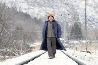 　日本テレビドラマ「ホットスポット」から