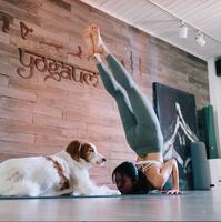 　イ・ユジュさん公式インスタグラム＠ｙｕｊｕ＿ｉｎｆｏｕｎｎｉより