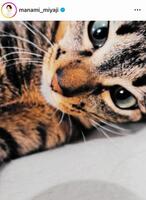 　宮司愛海アナのインスタグラム＠ｍａｎａｍｉ＿ｍｉｙａｊｉより