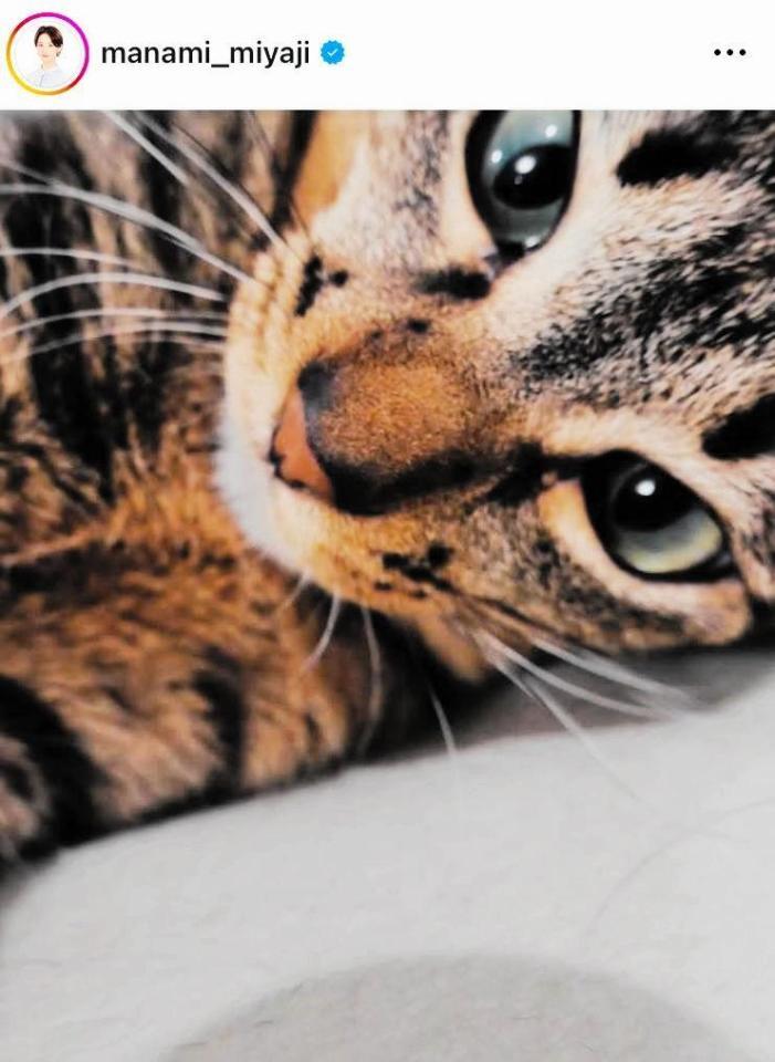 　宮司愛海アナのインスタグラム＠ｍａｎａｍｉ＿ｍｉｙａｊｉより