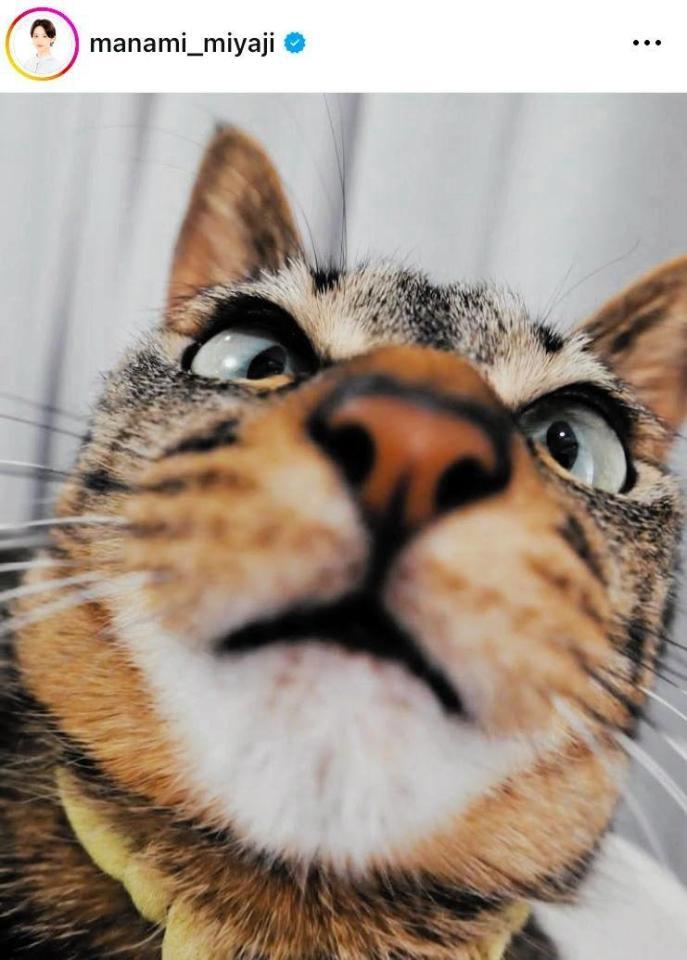 　宮司愛海アナのインスタグラム＠ｍａｎａｍｉ＿ｍｉｙａｊｉより