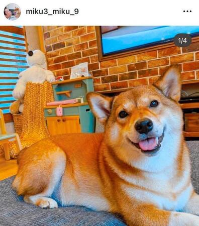 　パンサー尾形のインスタグラム＠ｍｉｋｕ３＿ｍｉｋｕ＿９より