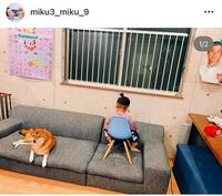 　パンサー尾形のインスタグラム＠ｍｉｋｕ３＿ｍｉｋｕ＿９より
