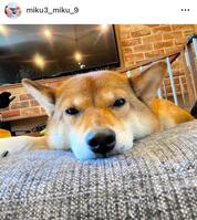 　パンサー尾形のインスタグラム＠ｍｉｋｕ３＿ｍｉｋｕ＿９より