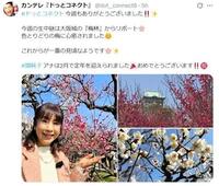 　カンテレ「ドっとコネクト」Ｘ＠ｄｏｔ＿＿ｃｏｎｎｅｃｔ８